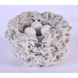 Bristol rare bird’s nest with three eggs. 7cm wide