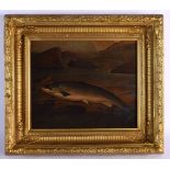 A Roland Knight (19th Century) Oil on canvas, Salmon. 42 cm x 42 cm.