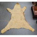 AN ANTIQUE POLAR BEAR SKIN RUG. 200 cm x 100 cm.