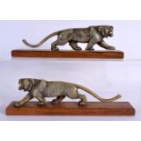 A PAIR OF 19TH CENTURY CARVED MIDDLE EASTERN RHINOCEROS HORN TIGERS modelled roaming upon wood bases