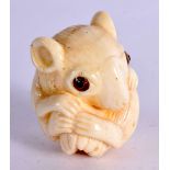 A CARVED BONE NETSUKE IN THE FORM OF A RAT HOLDING A NUT. 4.6cm x 3.9cm x 3.6cm, weight 64g