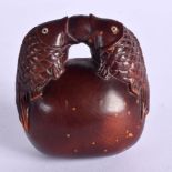 A JAPANESE NETSUKE FORMED AS TWO FISH ON A ROCK. 5.3cm x 4.8cm x 3.4cm, weight 32g