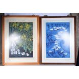 A large framed pair of Chinese prints 74 x 48 cm (2)