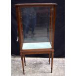 An Edwardian side opening two shelved glass display cabinet 135 x 63 x 33 cm.