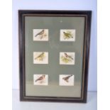 A framed set of watercolours of Birds 7.5 x 10 cm.