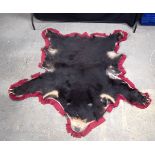 A Taxidermy Sun Bear rug 170 x 189 cm .