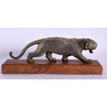 A 19TH CENTURY CARVED MIDDLE EASTERN CARVED RHINOCEROS HORN FIGURE OF A TIGER upon a wooden base. 22