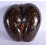 A LARGE EARLY 20TH CENTURY COCO DE MER NUT of naturalistic form. 25 cm x 21 cm.