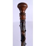 AN UNUSUAL 19TH CENTURY CONTINENTAL FOLK ART SNAKE WRAPPED WALKING CANE. 90 cm long.