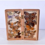 A boxed collection of butterfly specimens 18 x 8 cm.