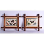 Chinese School (19th Century) Pair, Pith Watercolour, Butterflies. 34 cm x 32 cm.