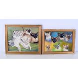 A pair of framed studies of Siamese cats oil on board 30 x 37 cm (2)