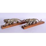 A PAIR OF 19TH CENTURY CARVED MIDDLE EASTERN RHINOCEROS HORN TIGERS modelled roaming upon wood bases