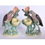 A RARE PAIR OF 19TH CENTURY STAFFORDSHIRE FIGURES OF DOVES modelled beside nests. 24 cm x 12 cm.