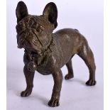 A BRONZE MODEL OF A BULLDOG. 6.5cm x 8cm x 3cm, weight 227.7g