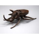 A Japanese bronze stag beetle 11 cm.