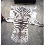 A large Zebra hide 280 x 190 cm