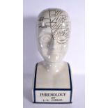 A CONTEMPORARY PHRENOLOGY HEAD. 40 cm x 12 cm.