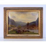 A 19th century continental large framed oil on canvas of a mountainous landscape (signed O Dahl 73)