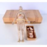 A vintage plastic educational aid by L Adams ltd , a boxed female with body parts 36 x 17 cm