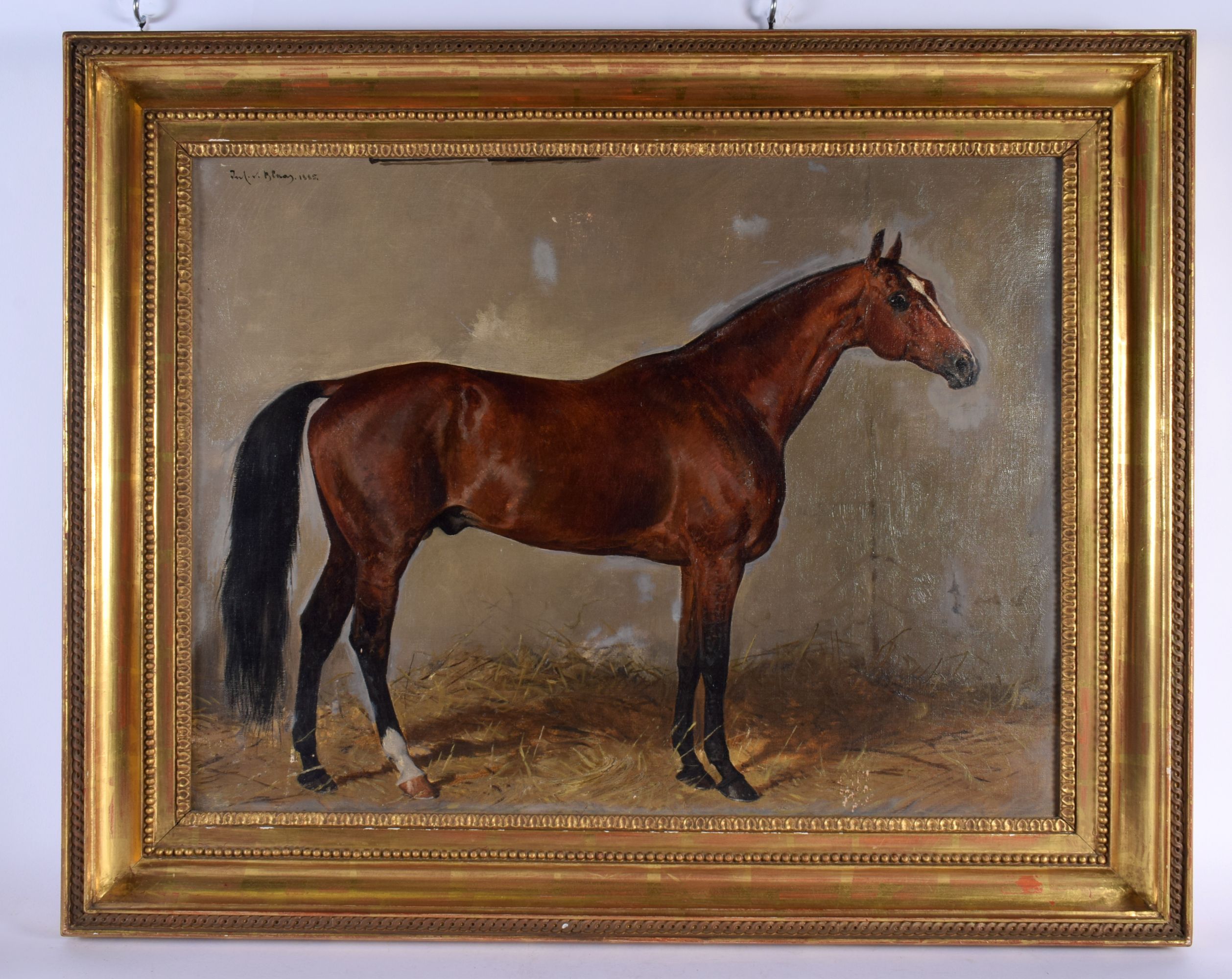 Julius Von Blass (1845-1922) Austrian, Portrait of a brown horse. 76 cm x 68 cm.