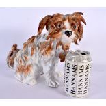 A LARGE LATE 19TH CENTURY GERMAN MEISSEN PORCELAIN BOLOGNESE TERRIER No 2841. 22 cm x 22 cm.