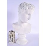 A CONTEMPORARY BUST OF APOLLO. 42 cm x 15 cm.