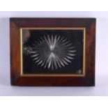 AN EARLY VICTORIAN ROSEWOOD FRAMED WITCHES MIRROR with star cut decoration. 32 cm x 28 cm.