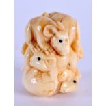 A JAPANESE CARVED BONE RAT NETSUKE. 5 cm x 3 cm.