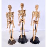 A collection of educational skeletons mounted to wooden plinths 32 cm (3)