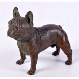 A BRONZE BULLDOG. 6.8cm x 7.7cm