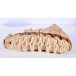 A PRE HISTORIC MAMMOTH JAW TOOTH SPECIMEN 21 cm x 15 cm.