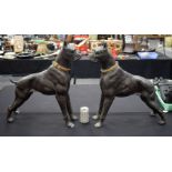 A LARGE PAIR OF CONTEMPORARY BRONZE FIGURES OF GUARD DOGS. 60 cm x 50 cm.
