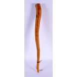 A VINTAGE PAPUA NEW GUINEA TRIBAL PENIS SHEATH. 52 cm long.