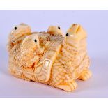 A JAPANESE CARVED BONE TORTOISE NETSUKE. 5 cm x 3 cm.