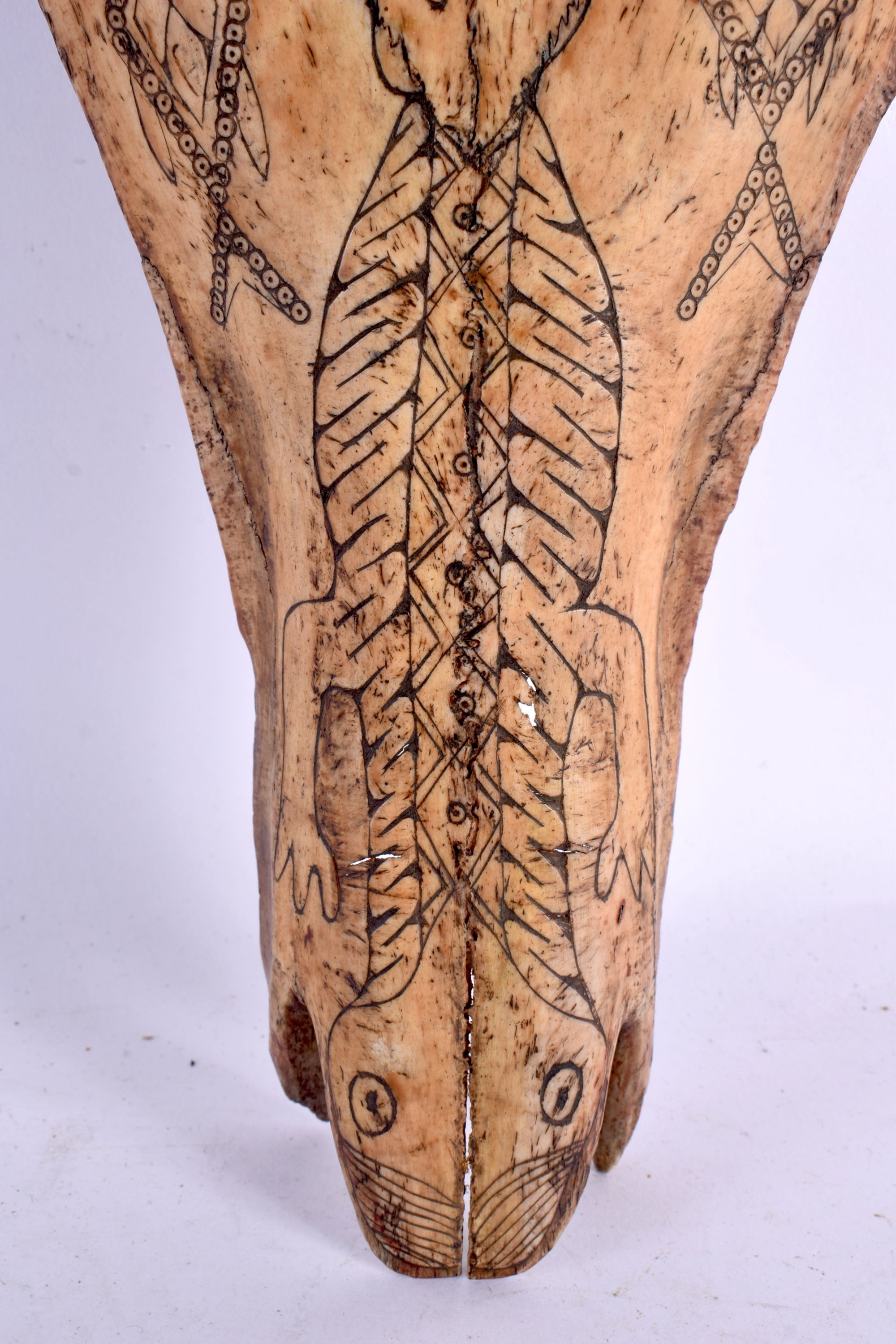 A RARE 19TH CENTURY CONTINENTAL TRIBAL CARVED AND ENGRAVED HORSE SKULL decorated with animals and mo - Image 2 of 5