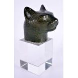 A 19TH CENTURY EGYPTIAN GRAND TOUR CARVED STONE HEAD OF A CAT After the Antiquity, upon a later pers