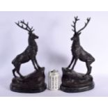 A PAIR OF CONTEMPORARY BRONZE STAGS. 42 cm x 22 cm.