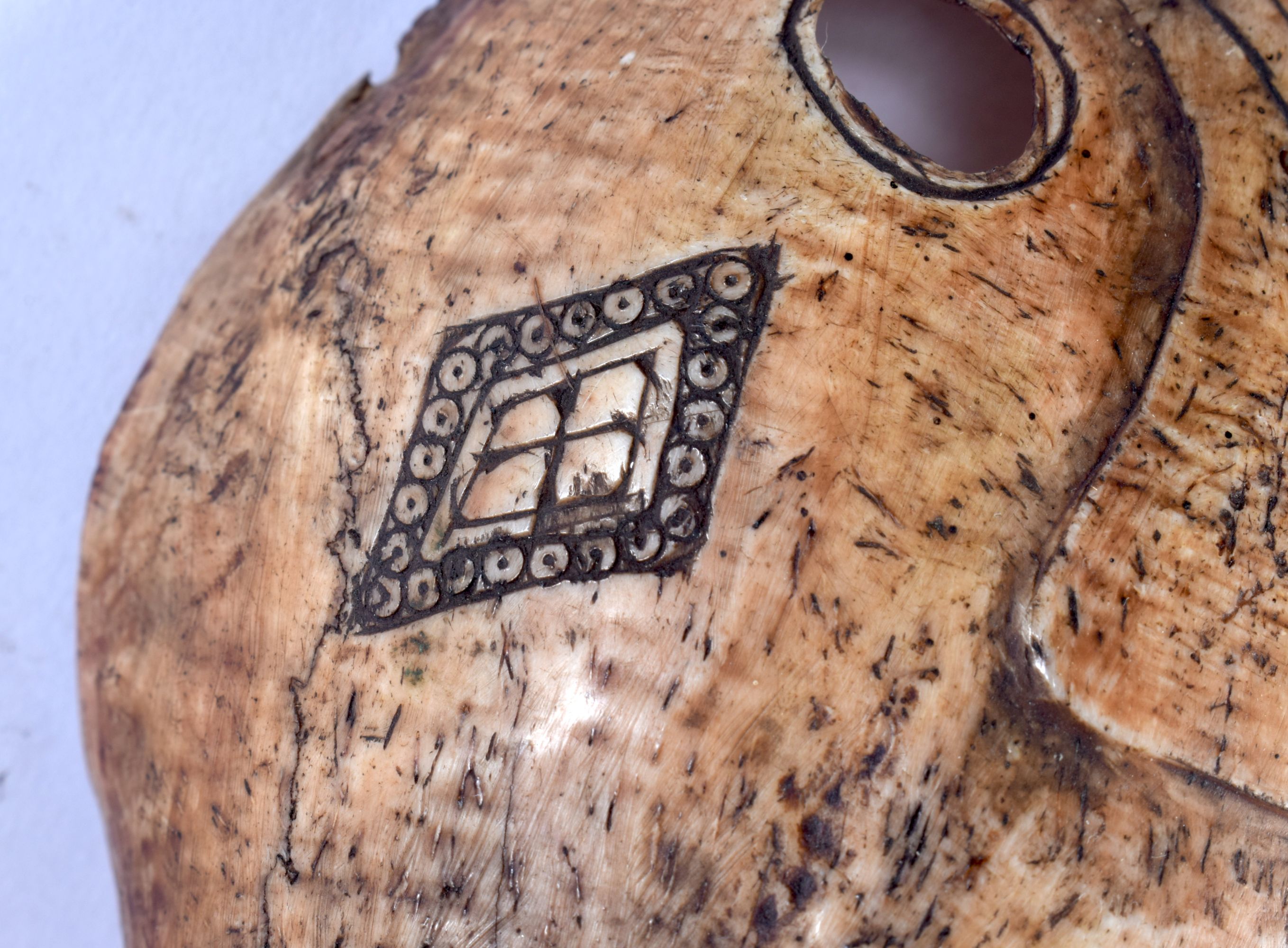 A RARE 19TH CENTURY CONTINENTAL TRIBAL CARVED AND ENGRAVED HORSE SKULL decorated with animals and mo - Image 4 of 5