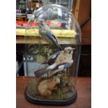 A VICTORIAN TAXIDERMY BIRD AND SQUIRREL GROUP. 60 cm x 25 cm.