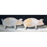 A large pair of Folk art metal pigs 46 x 82 cm.