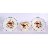 Royal Worcester lobed vase painted with four bird by Hopewell, date mark 1882 and two small plates p