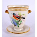 Royal Worcester two handled jewelled cup on fixed stand painted with a robin and a finch by Hopewell