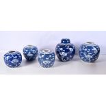 A Collection of 19/20th Century Chinese porcelain blue and white ginger jars largest 20 cm (5)