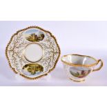 Flight Barr and Barr gadroon bordered teacup and saucer with seaweed gilding the saucer having two s