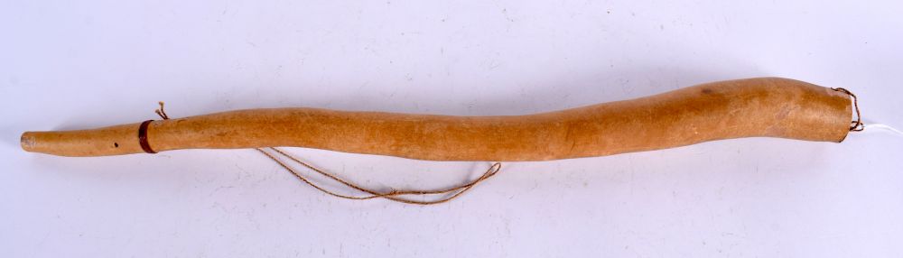 A VINTAGE PAPUA NEW GUINEA TRIBAL PENIS SHEATH. 52 cm long.