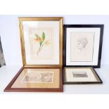 A FRAMED LITHOGRAPHIC BOTANICAL PRINT together with a framed etching, a watercolour and a sketch. La