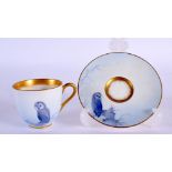 Royal Worcester cup and saucer painted with owls perch on a branch probably by Raymond Rushton, date