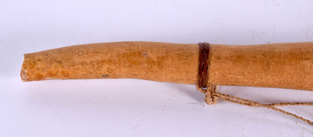 A VINTAGE PAPUA NEW GUINEA TRIBAL PENIS SHEATH. 52 cm long. - Image 4 of 4