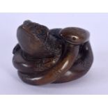 A JAPANESE CARVED BOXWOOD SNAKE AND TOAD NETSUKE. 3.5 cm x 3.5 cm.